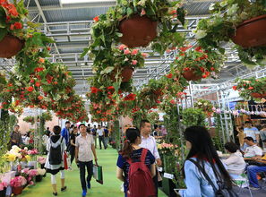 中国国际花卉园艺展览会门票