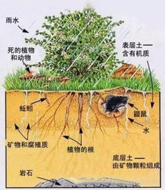 土壤有机质化学