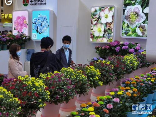 第23届国际花卉园艺展